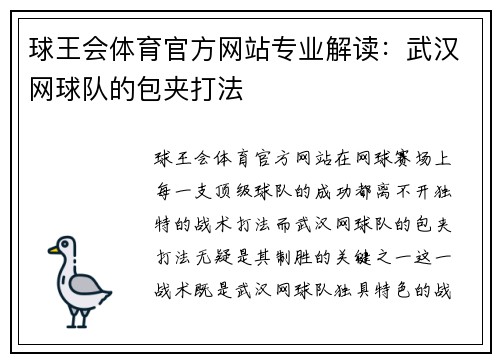 球王会体育官方网站专业解读：武汉网球队的包夹打法